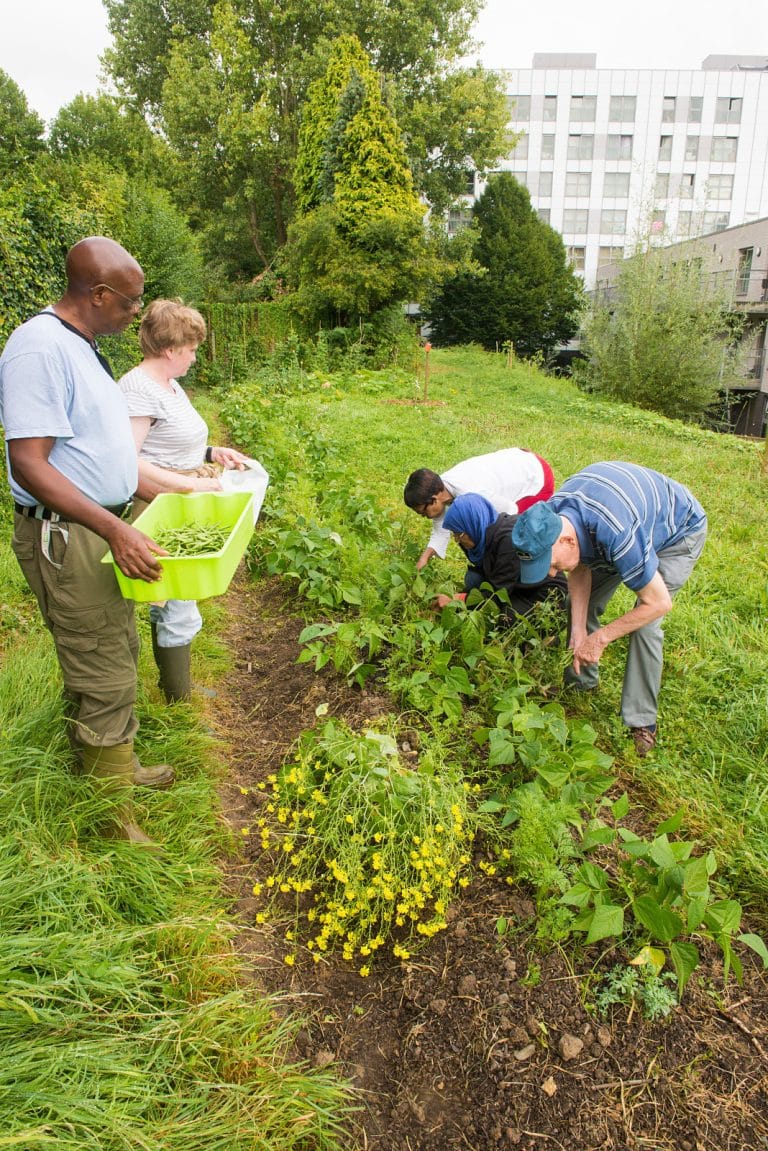 jardin collectif